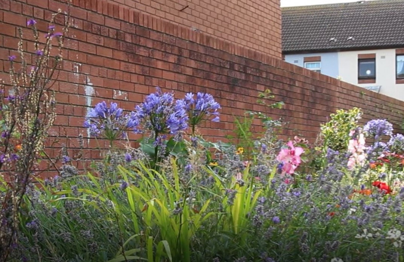 Photo of flowerbed in WHAD estate