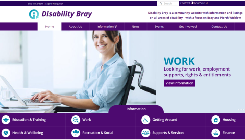 Screenshot of home page of DisAbility Bray website with photo of smiling woman wheelchair user at a desk with her hands on a laptop.